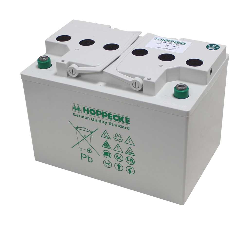 Grauer Batterieblock mit zwei grünen Polen und Klappdeckeln mit runden Öffnungen oben, seitlich Warnsymbole