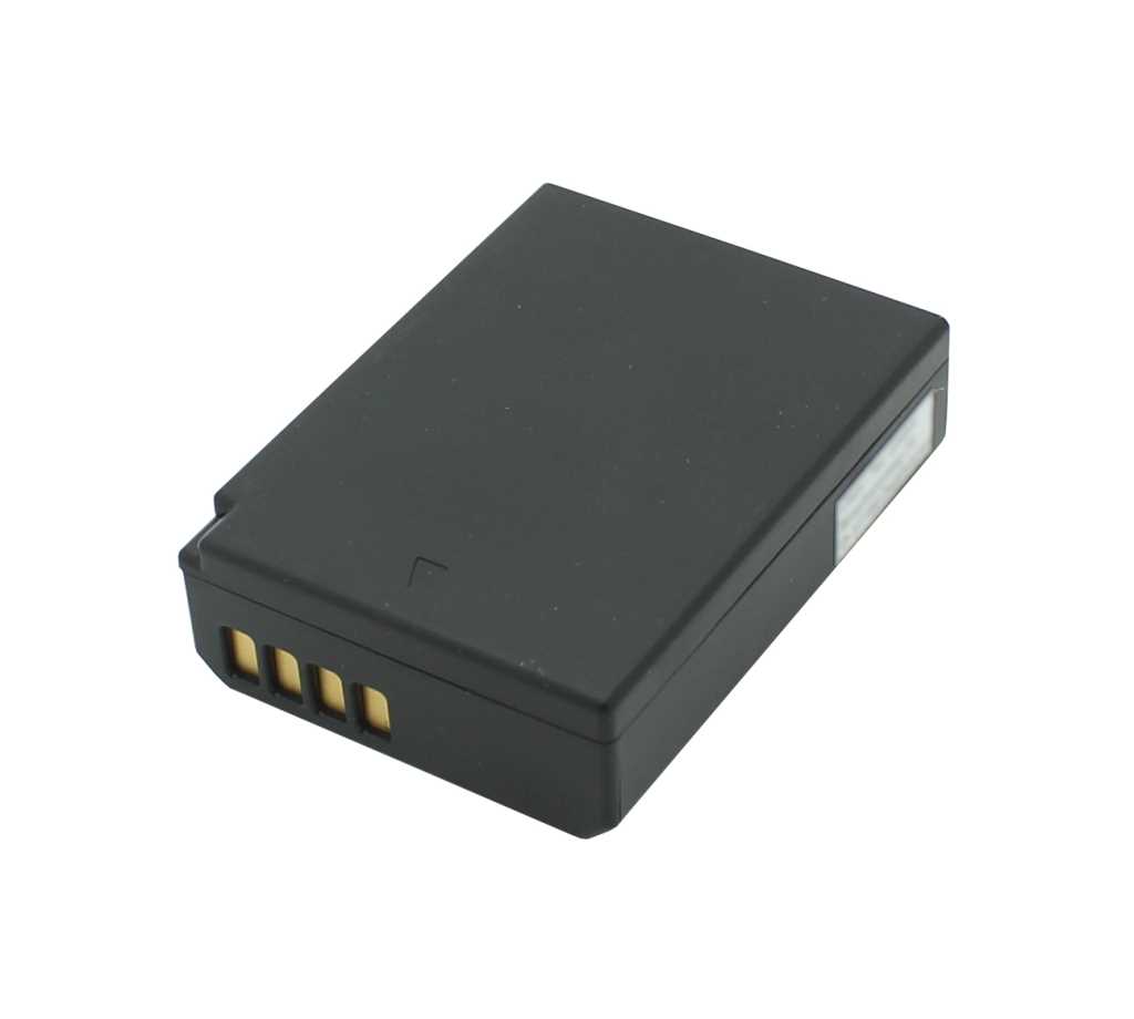 Schwarzer Kameraakku in schräger Ansicht mit vier goldfarbenen Kontakten auf weißem Hintergrund