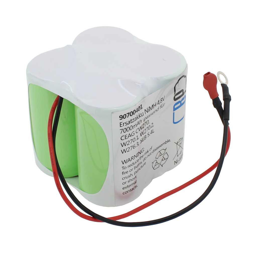 Akkupack mit weißer Umhüllung und grünen Zellen, zwei Anschlusskabeln in Rot und Schwarz mit Steckern