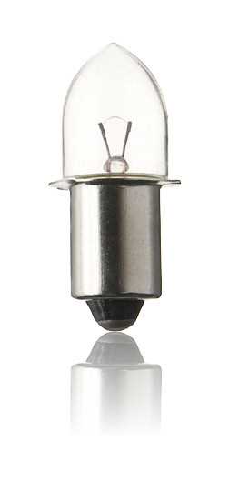 Kleine Glühbirne mit klarer olivenförmiger Glaskolbenhaube und Metallsockel vor weißem Hintergrund