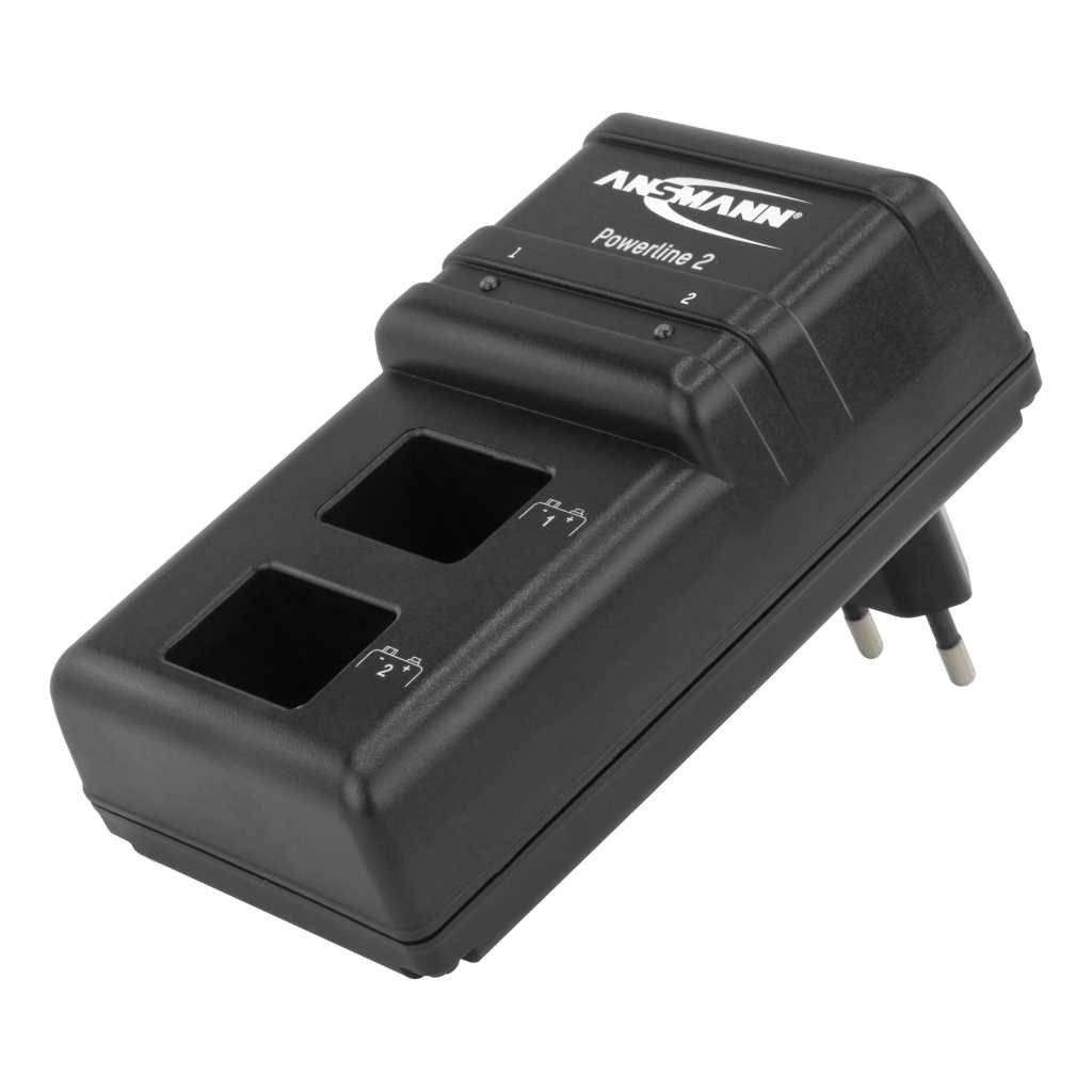 Schwarzes Steckerladegerät mit zwei rechteckigen Akkuschächten und Eurostecker, schräg von oben fotografiert